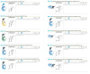 GERMAN BLOW GUN DISPLAY 50x065